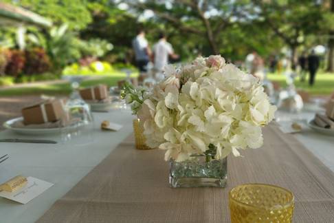 White blooms