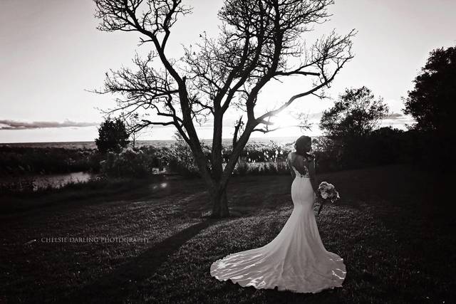 Chelsie Darling Photography