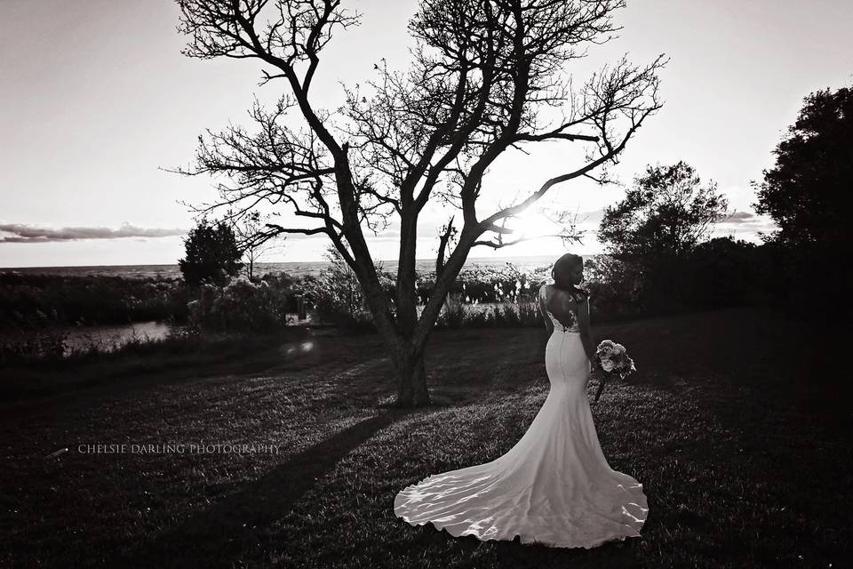 Chelsie Darling Photography