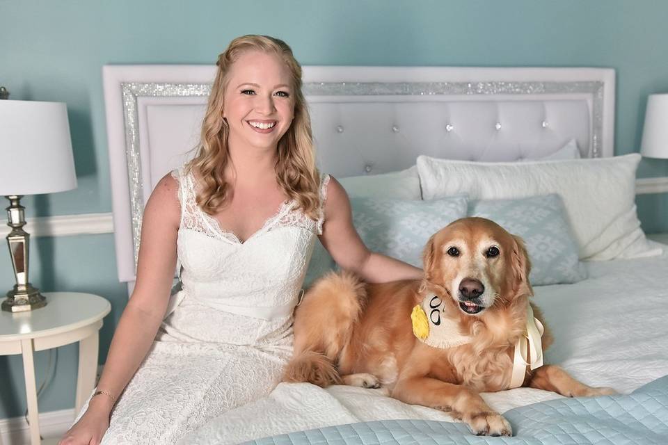 Pet Friendly Rooms & Weddings