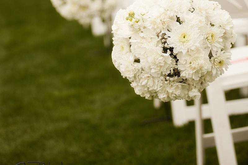 These kissing balls not only decorated the aisle, but were later moved into the reception and placed on top of the large cylinder vases for amazing centerpieces.