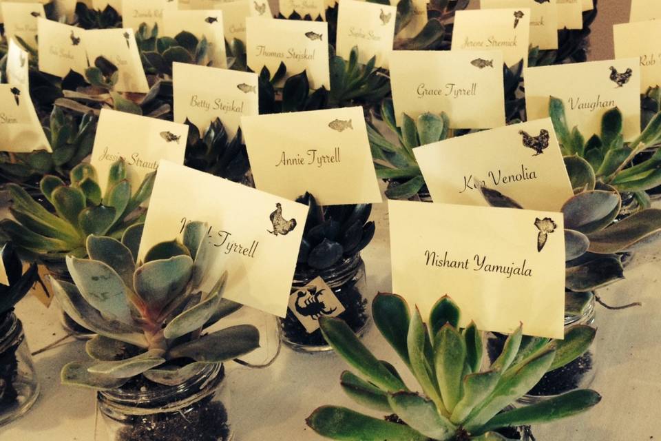 Planted succulents were used as a place card and wedding favor. Most guests were from the east coast and Laura and Rick wanted each guests to have a little bit of the desert to take home with them.