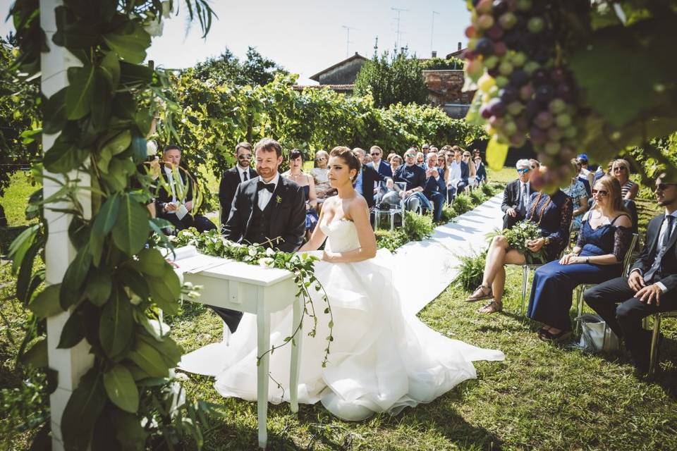 Ceremony in the vineyards