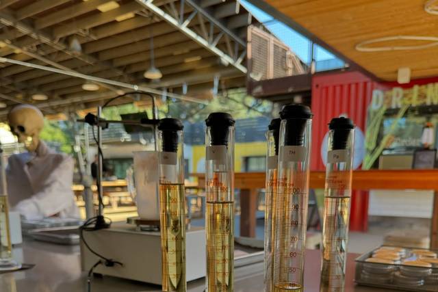 Thee Candle Lab
