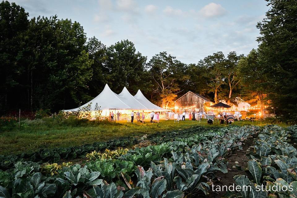 Caswell Farm & Wedding Barn