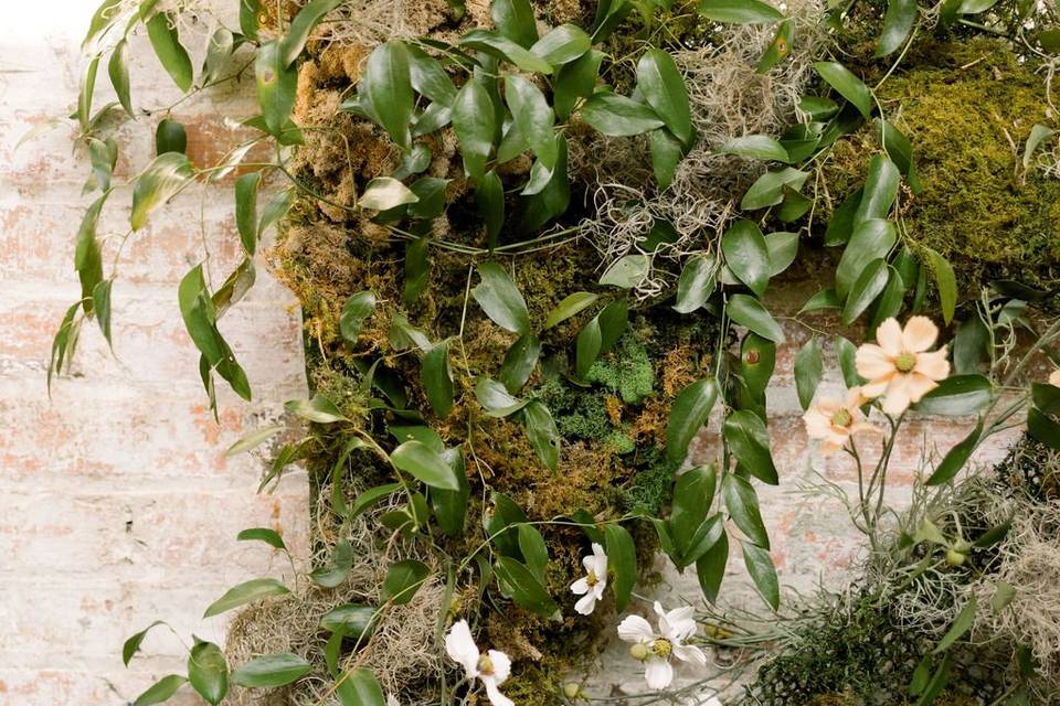 Wall
