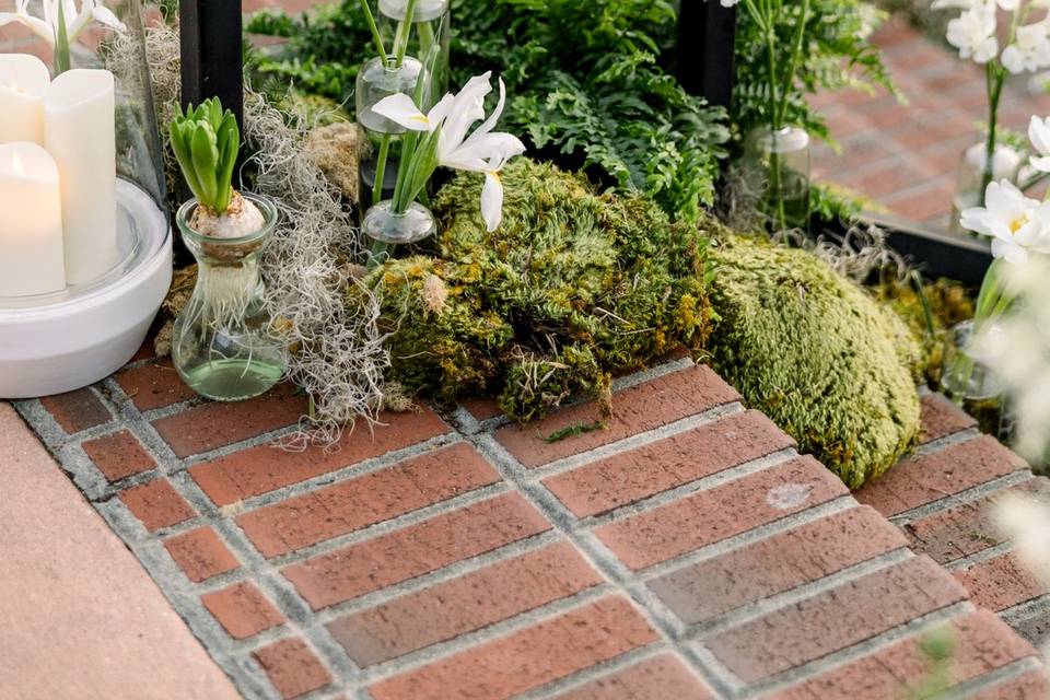 Entrance Steps