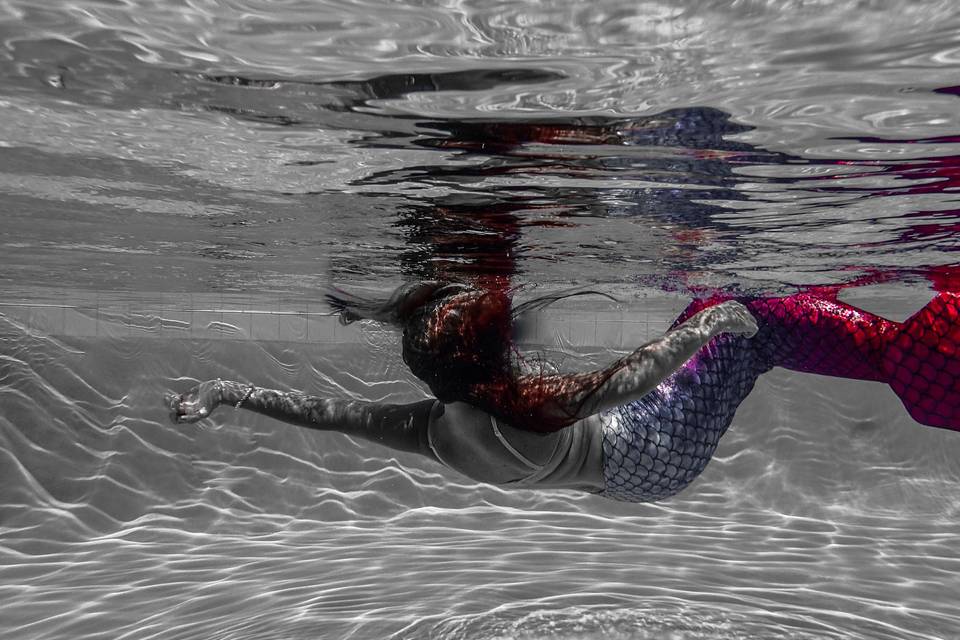 Ryan P. Maillet Photography