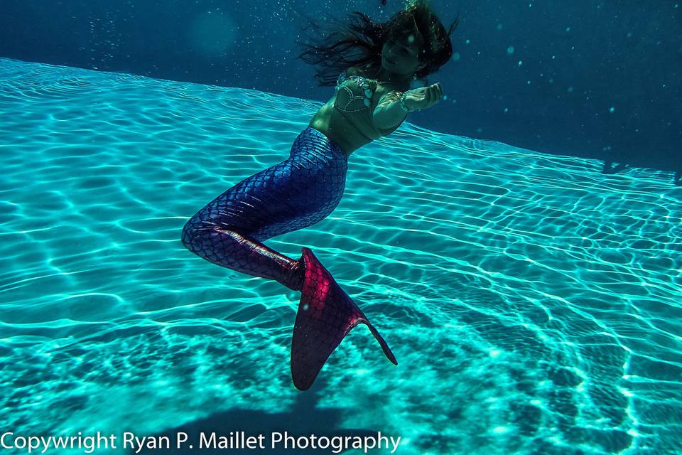 Ryan P. Maillet Photography