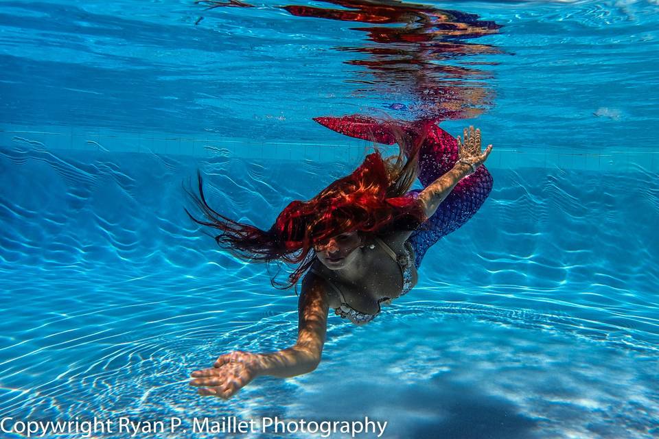Ryan P. Maillet Photography