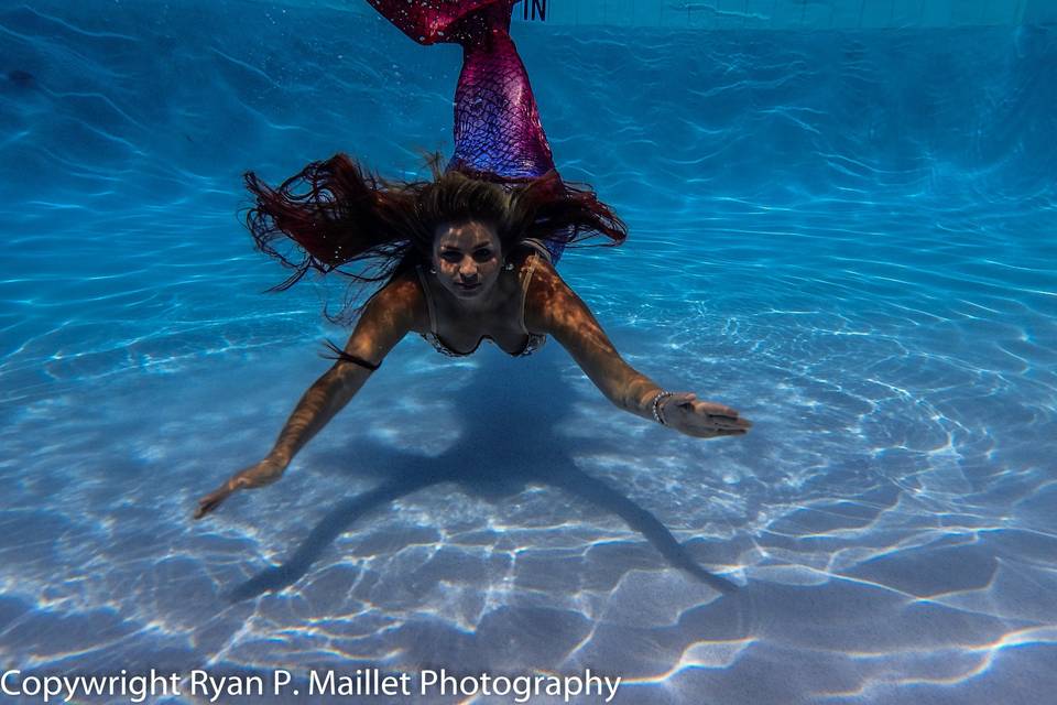 Ryan P. Maillet Photography