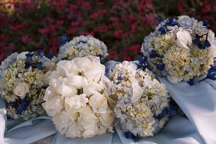 Jennifer Schiller Photography