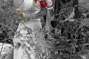 Jennifer Schiller Photography