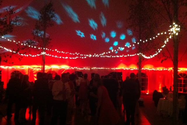 Crown DJs, Uplights & Photobooths