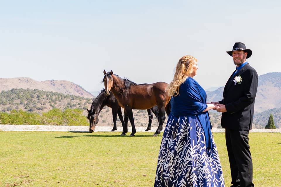 Wild Horse photobomb