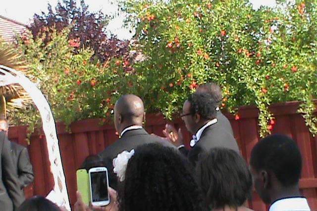 Wedding 1