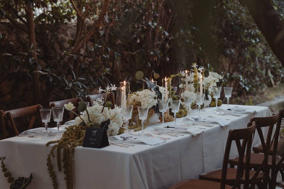 Table setting details
