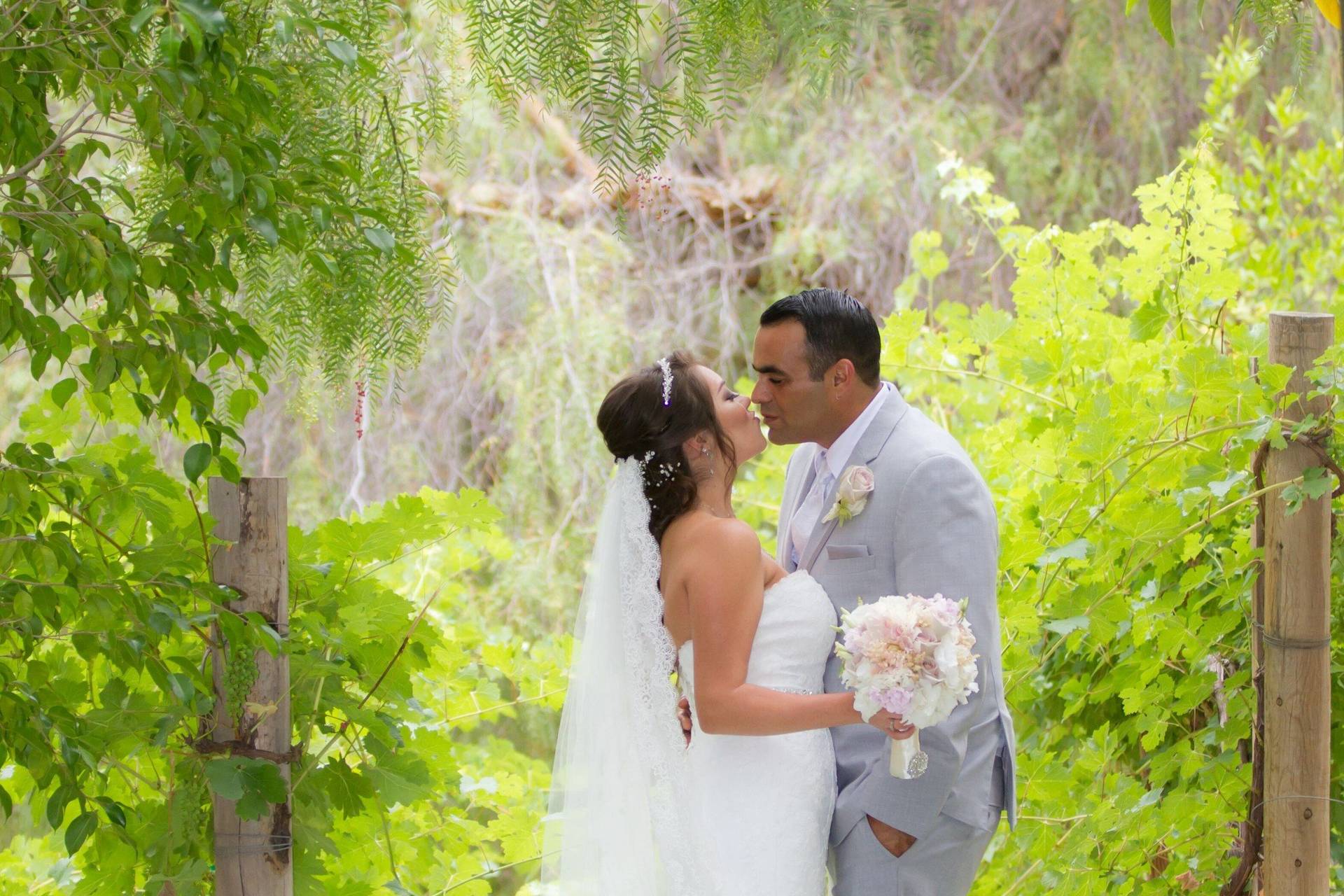 The Vineyards - Winery Weddings - Simi Valley, CA - WeddingWire