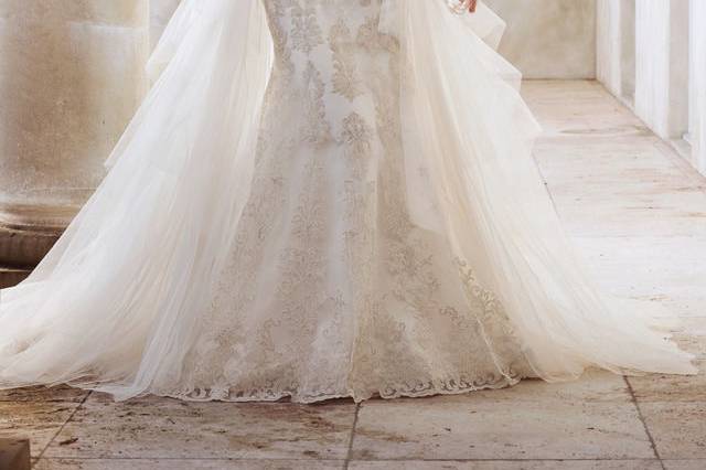 Sophia Tolli