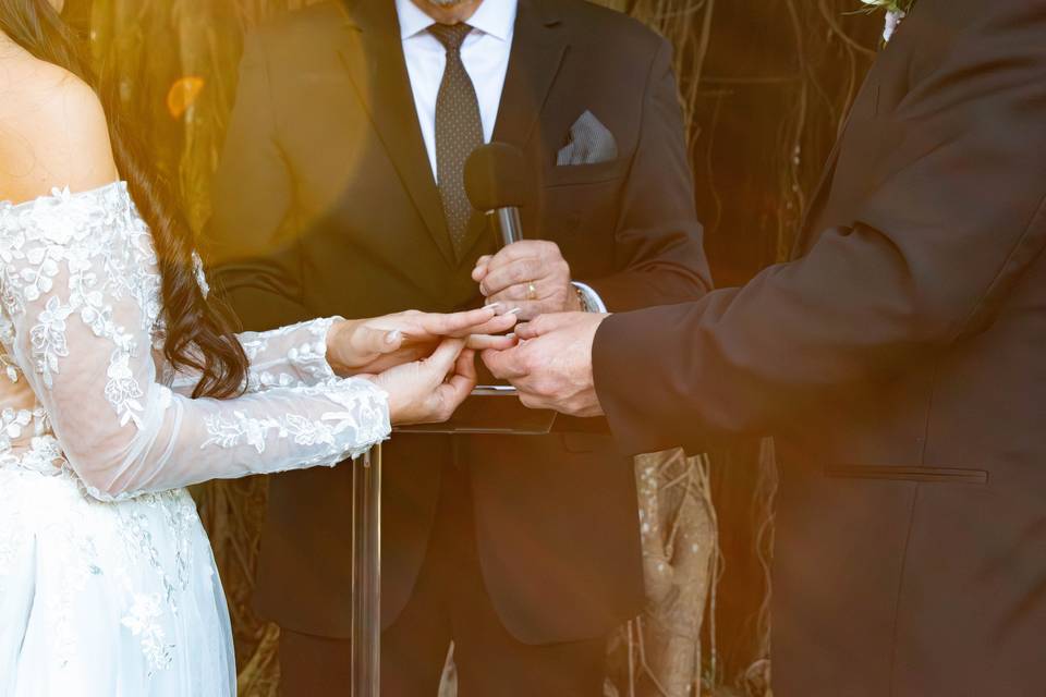 Alina and Jason edits-3.jpg