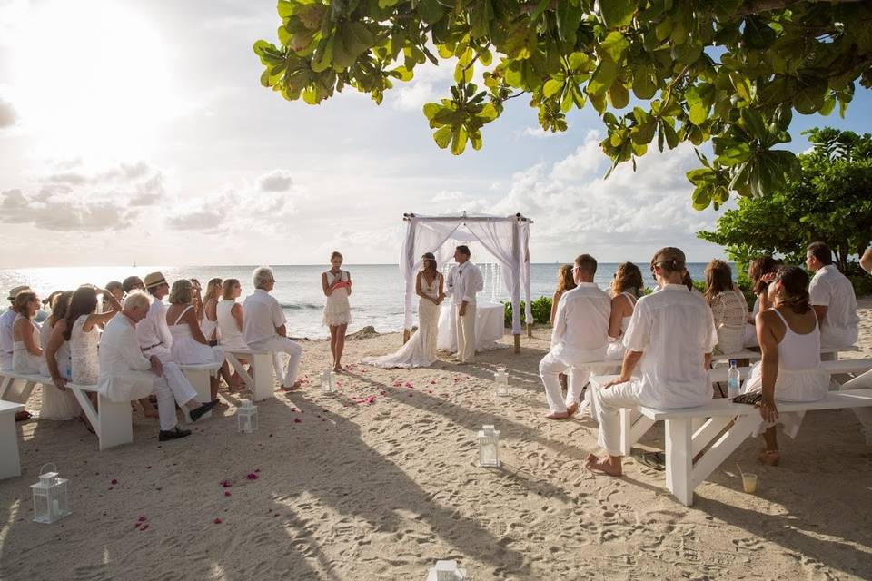 Beach Wedding