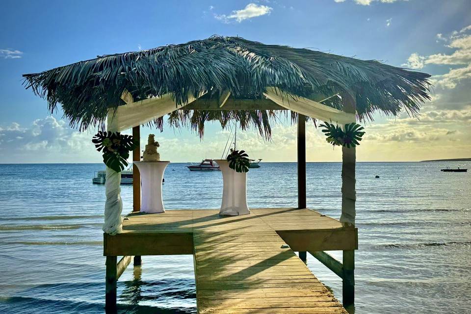Tropical Elopement