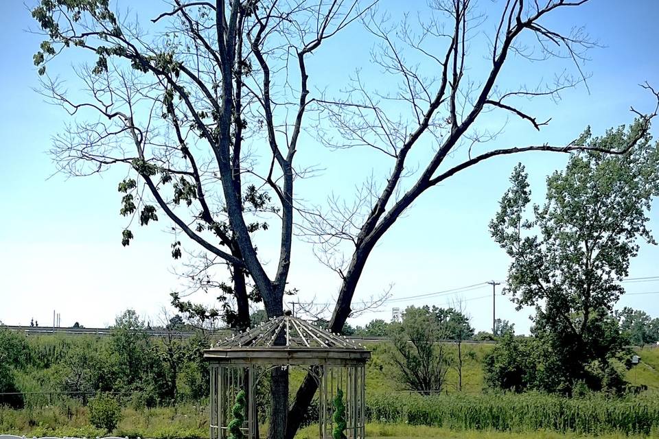 Grove Wedding