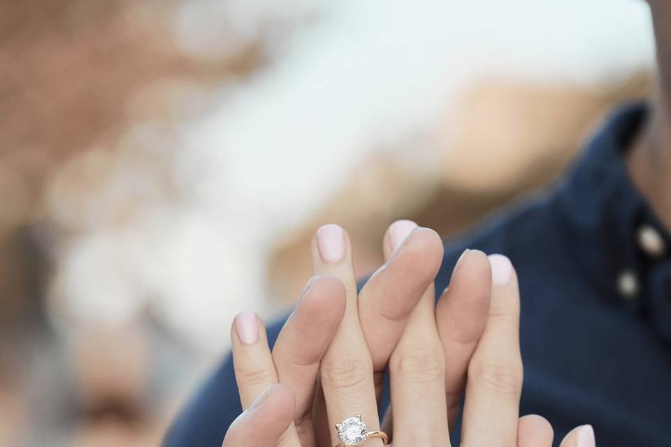 Blue Diamond Jeweler