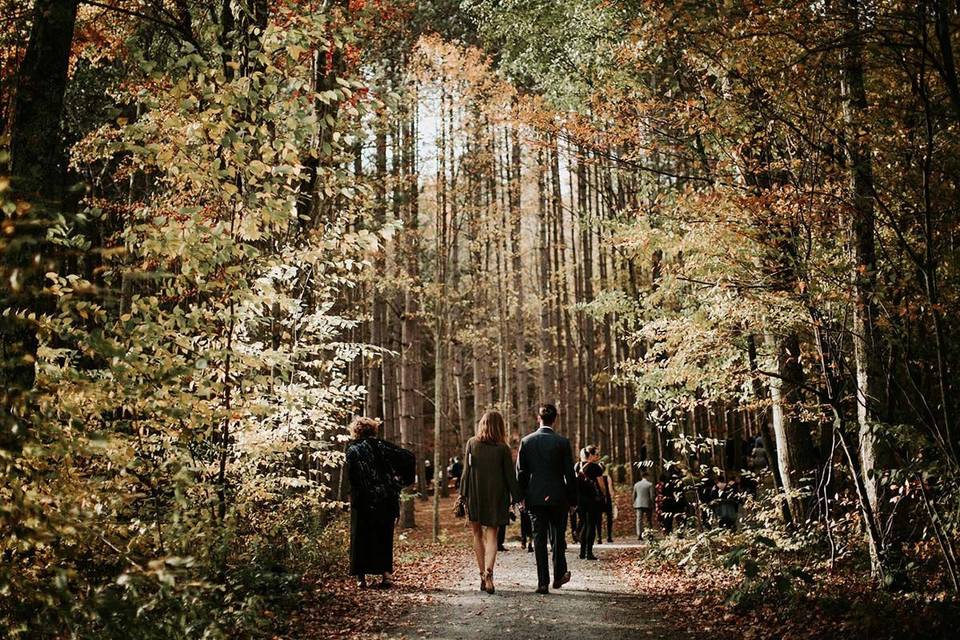 Guest heading to the ceremony site for a forest wedding at The Roxbury Barn and Estate. Photo by Lauren Scotti.