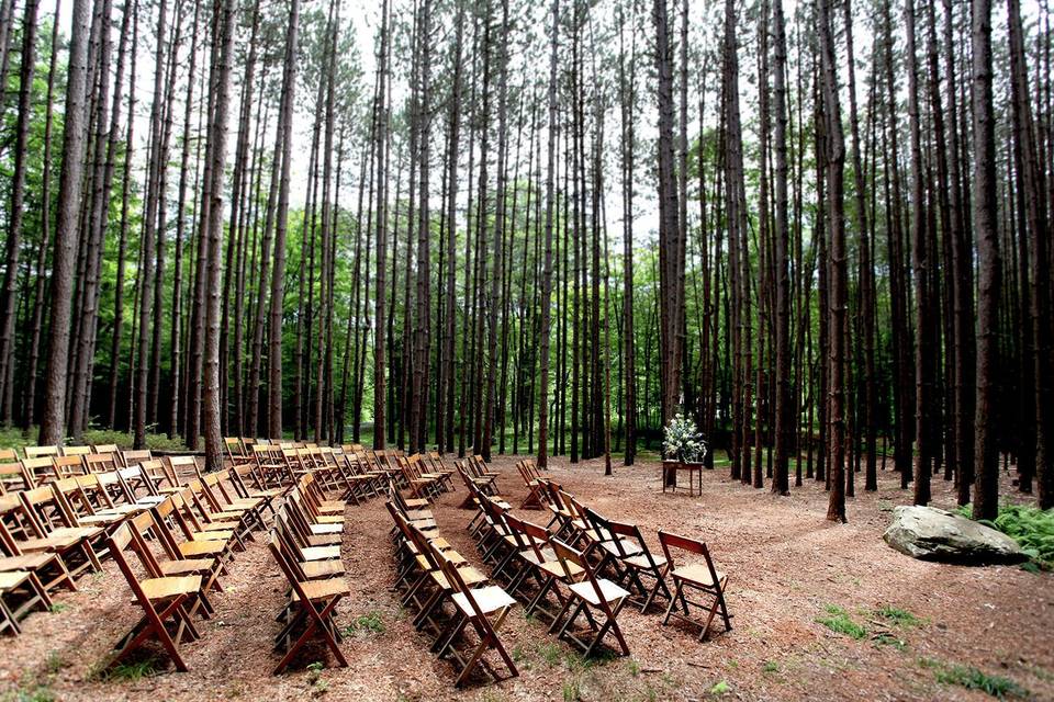 Setup for a wedding ceremony in the pine grove at The Roxbury Barn and Estate