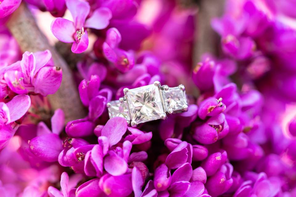 Gorgeous three stone ring at Meadowlark Botanical Gardens.