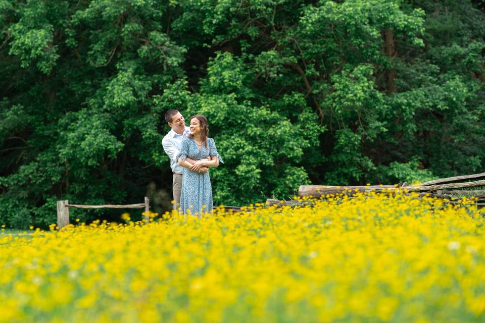 Virginia engagement session