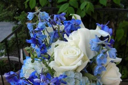true blue, hydrangea, eskimo rose, blue delphinium