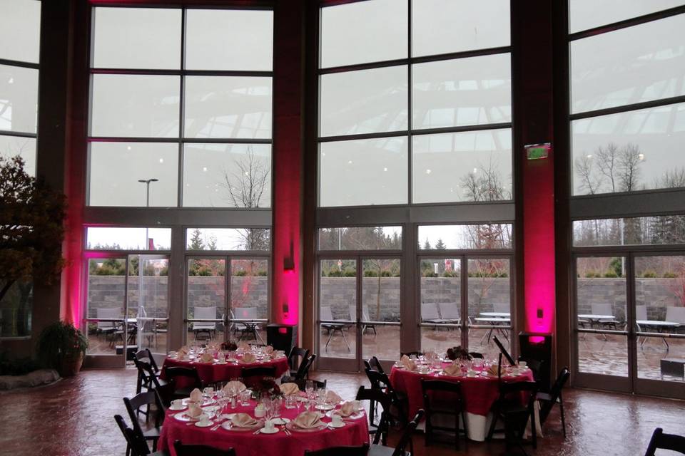 Tulalip Hotel & Casino Pool Area Wedding 2012