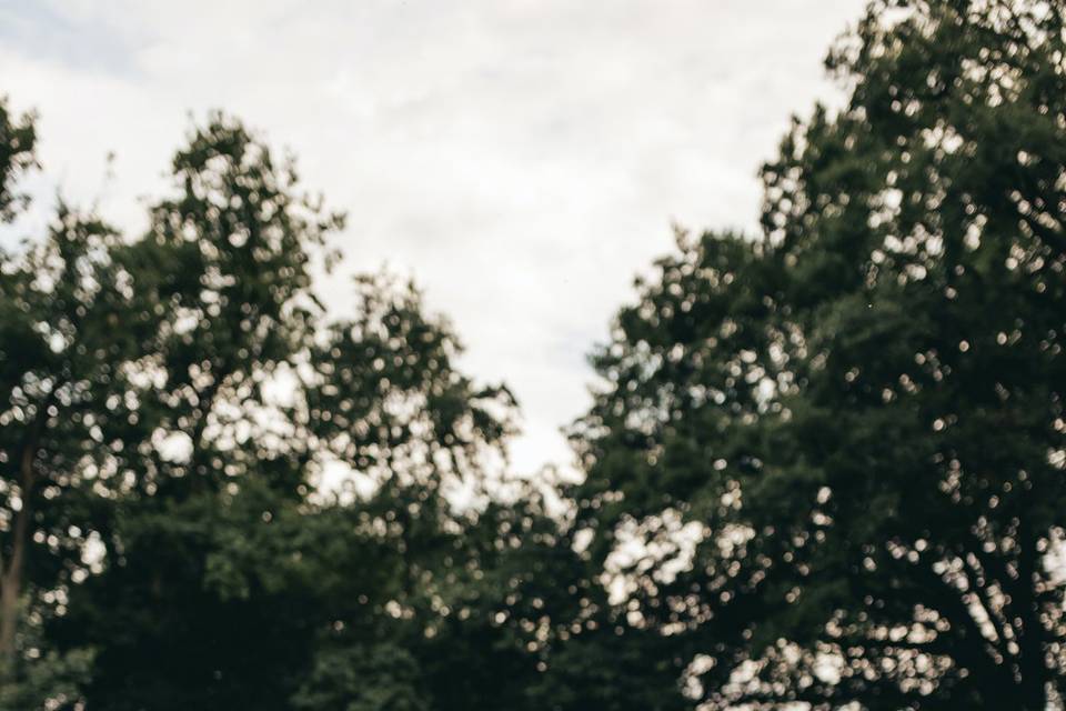 pexels-dmitry-rodionov-12750752.jpg