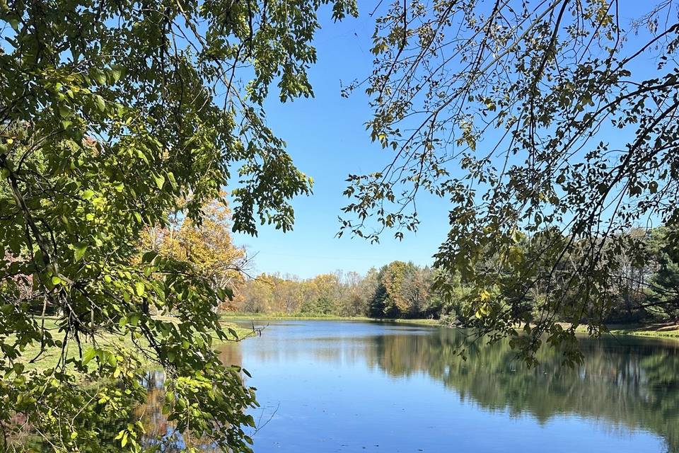Lake View