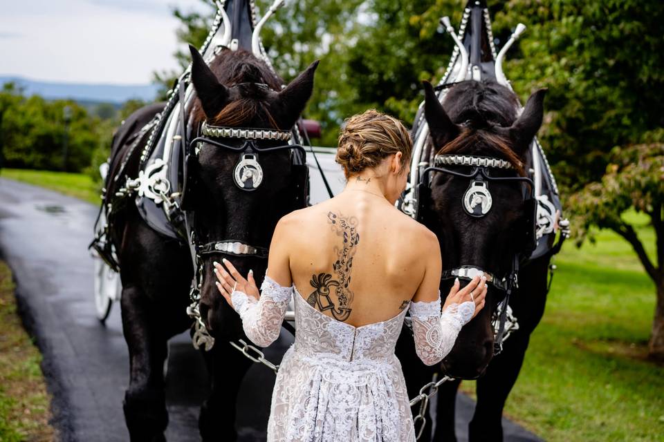 Bride and Carriage