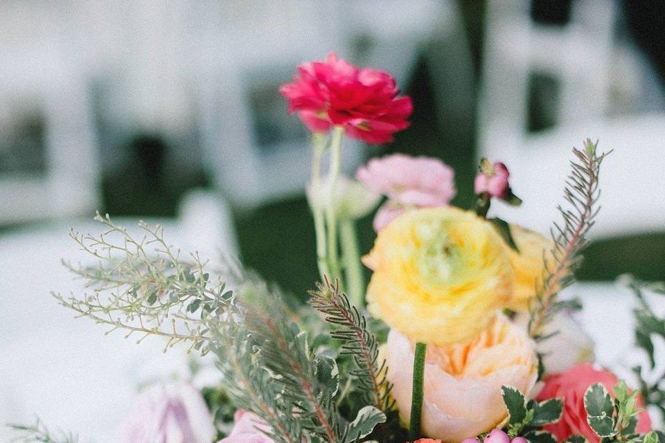 Rustic Boho - Owl Creek Farms
