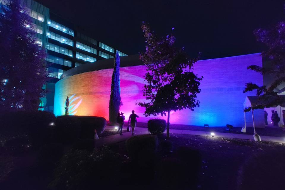 Lighting