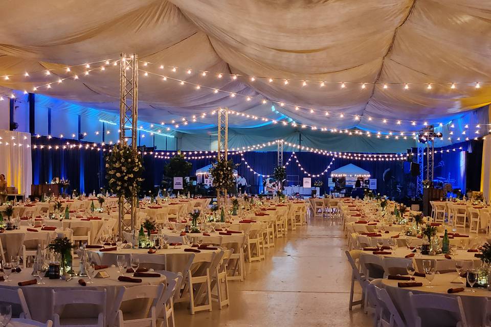 Cafe Lighting and Decor
