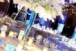 Elite Parties and More...
