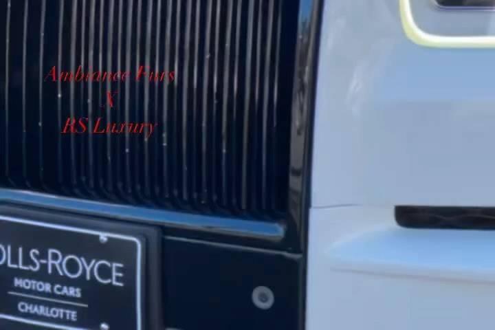 RS Luxury & Exotic Rentals