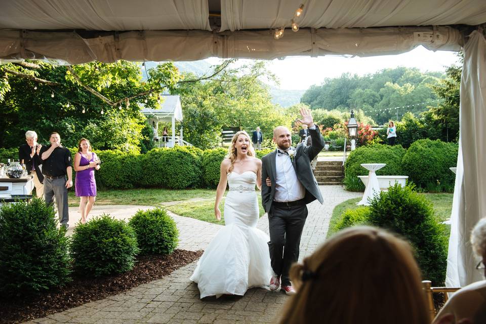 Wedding arch