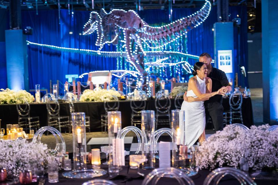 Reception in DinoDigs