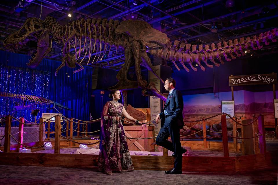 Portrait in DinoDigs