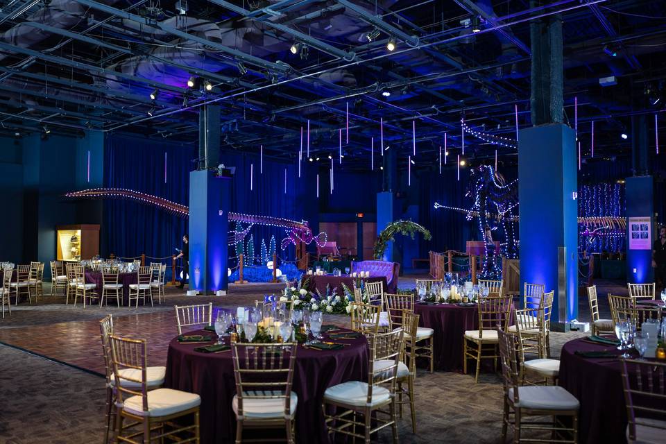 Reception in DinoDigs