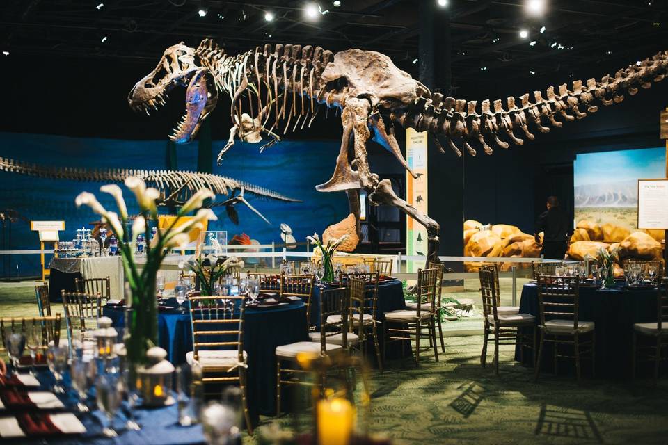 Orlando Science Center - Venue - Orlando, FL - WeddingWire