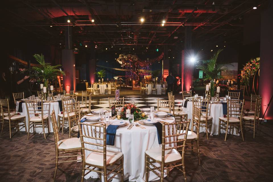 Reception in  DinoDigs