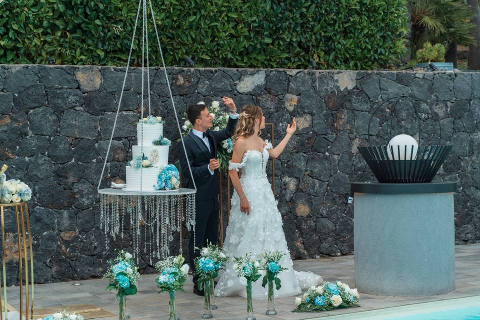 Cake Cutting