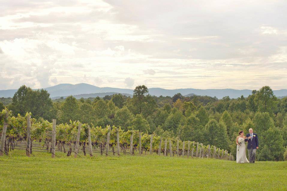 Round Peak Vineyards